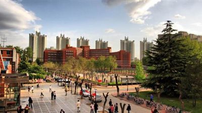 جامعة صينية تطور برنامجا لدراسة اللغة العربية أون لاين