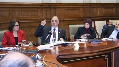 لجنة التضامن بالبرلمان تقر موازنة المجلس القومي لمكافحة وعلاج الإدمان
