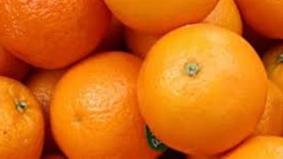 الإحصاء: تراجع صادرات مصر من البرتقال الطازج