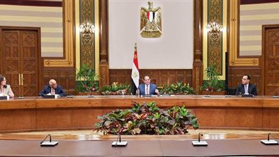 استمرار رحلات عودة العالقين من الخارج تنفيذاً لتكليف الرئيس.. وتوافد المصريين من الكويت ولبنان والسعودية