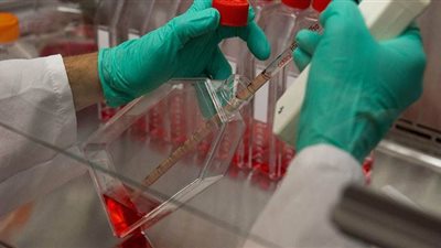 البرازيل تسجل أكثر من 28 ألف إصابة جديدة بكورونا و1349 وفاة خلال 24 ساعة