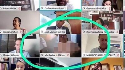 عن طريق الخطأ.. سيناتور في المكسيك تظهر عارية Online