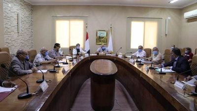 الوادي الجديد: تيسيرات غير مسبوقة للتوسع في زراعة القمح