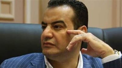 طلب إحاطة لدعم شركات الطيران الخاصة لتجاوز جائحة 