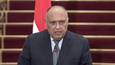 سامح شكري: تركيا تعمل على تجنيد وتدريب ونقل آلاف المقاتلين الأجانب من سوريا إلى ليبيا