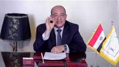 نائب: التصويت الإلكتروني حل بديل في الانتخابات المقبلة لكن مكلف