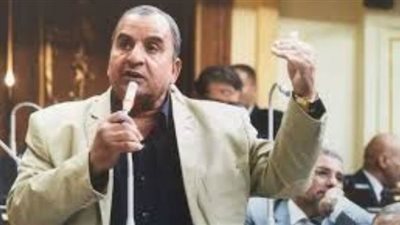 نائب يُطالب بدورات تدريبية لقيادات المحليات الجديدة