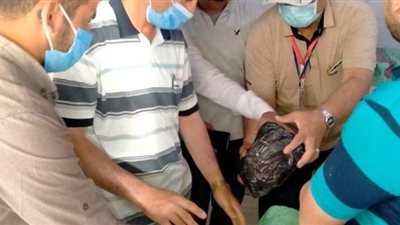 تموين المنيا: ضبط مصنع أيس كريم بدون ترخيص ولحوم غير صالحة | صور