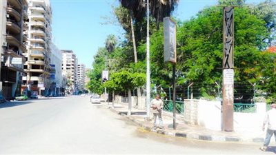 تطهير وتعقيم منطقة المشاية في المنصورة | صور