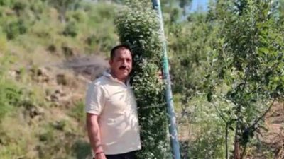 هندي يدخل موسوعة جينيس بسبب نبتة الـ 