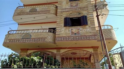 كرم الشراقوة في زمن كورونا.. مواطن يتبرع بمنزل لعزل المصابين.. فتاة تقود حملة لدعم مستشفى فاقوس.. ونقل محرقة نفايات ههيا