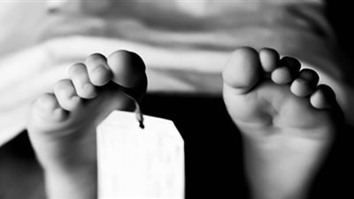 الاستماع للشهود في واقعة قتل عامل لشقيقه بالوراق