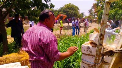 إزالة 64 حالة تعدٍ على الأراضي بنجع حمادي في قنا | صور