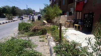 إزالة مخالفات البناء والتعديات بحي متالكو بالوادى الجديد| صور