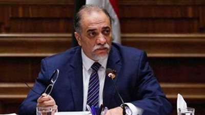 القصبي: الإعلان عن قانون تقسيم الدوائر الانتخابية قريبا