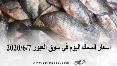 أسعار السمك اليوم في سوق العبور 2020/6/7