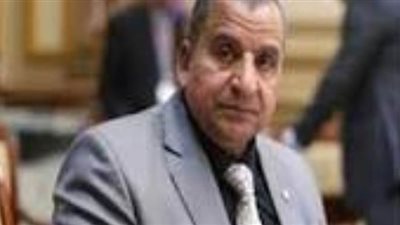 برلماني: مشروع قانون ائتلاف دعم مصر بشأن انتخابات النواب يستحق التأييد بشرط