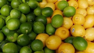 انخفاض سعر الليمون 15 جنيها بالأسواق.. اعرف التفاصيل