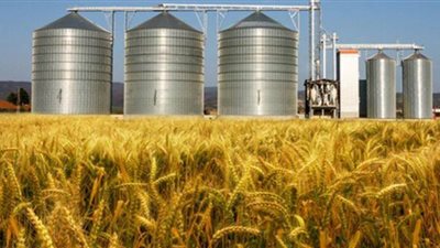 الصوامع الجديدة.. هل أنقذت رغيف الخبز؟.. نسبة الفاقد 