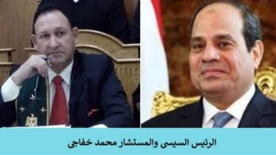 نائب رئيس مجلس الدولة: عصر السيسى شهد انفتاحاً على العالم في جميع المجالات