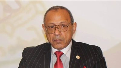 رئيس الحركة الوطنية: قوائم انتخابية باسم تحالف الأحزاب لخوض انتخابات النواب والشيوخ