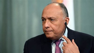 وزير الخارجية يؤكد تطلع مصر للاستمرار في تعزيز التعاون مع العراق