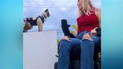 كلاهما يعاني من الإعاقة الحركية.. صداقة نادرة بين سيدة وقط | صور