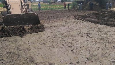 زراعة القليوبية: إزالة 102 فدان أرز مزروعة بالمخالفة