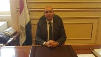 ثقافة البرلمان توافق على موازنة أكاديمية الفنون والتنسيق الحضارى