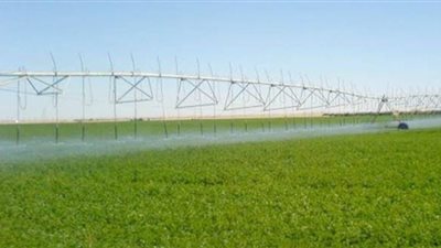 تفاصيل مشروع 