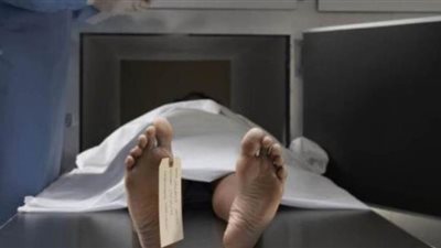 مصرع سائق ملاكي في حادث تصادم بأسيوط