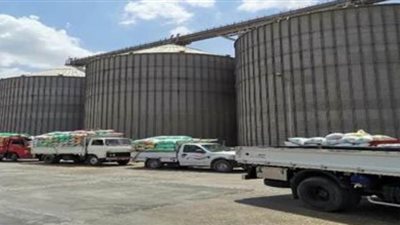 توريد 181 ألفا و387 طن قمح للشون والصوامع في القليوبية