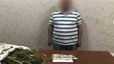 سقوط اثنين من العناصر الإجرامية بحوزتهما 450 كيلو بانجو فى الإسماعيلية