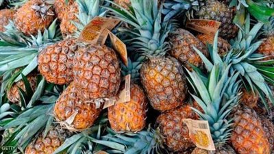 ضبط كوكايين بـ 770 مليون دولار داخل 