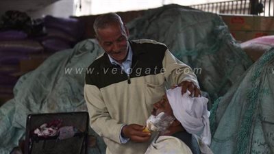 عم رضا.. مزين الزمن الجميل في شبرا يواجه كورونا بالكولونيا والنار| صور