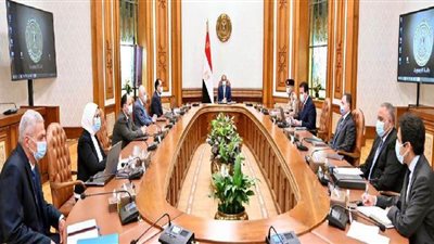 تكليفات السيسي للحكومة: توفير علاج كورونا بتكلفة ملائمة.. سلامة العاملين في القطاع الصحي.. واتخاذ أقصى درجات التأمين لطلاب الثانوية