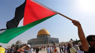 مصر تؤكد موقفها الداعم للقضية الفلسطينية