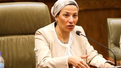 وزيرة البيئة: وضع إطار مؤسسي وقانوني لتطوير إنتاج الفحم النباتي