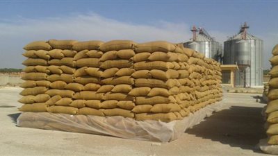 توريد 314 ألفا و947 طنا لشون وصوامع البحيرة