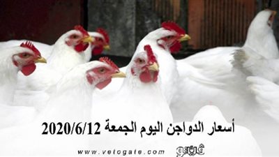 أسعار الدواجن اليوم الجمعة 2020/6/12