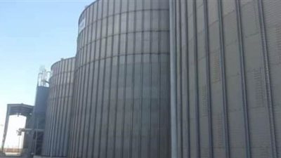 لأول مرة منذ 3 أعوام.. توريد أكثر من 21 ألف طن قمح لصوامع القنطرة شرق