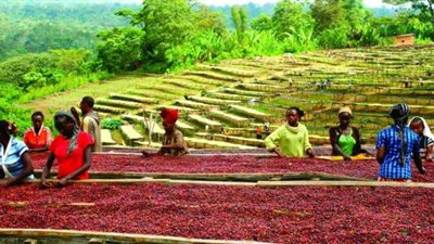 نور الدين: إثيوبيا تزرع 10 أضعاف المساحة في مصر وتتهمنا كذبًا بالاستئثار بمياه النيل