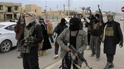 لنقلها إرهابيين إلى ليبيا.. كيانات مصرية بالخارج تستعد لشكوى تركيا أمام الجنائية الدولية