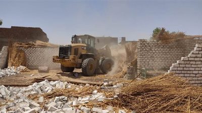 استعادة 110 أفدنة أراضي زراعية في قنا | صور