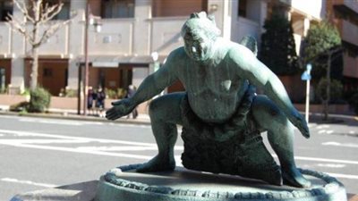 بطولة إنسانية خارج الحلبة.. 20 مصارع سومو ينقذون فتاة من الانتحار