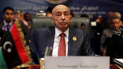 عقيلة صالح: الرئيس الجزائري يبحث مع مصر وتونس حل الأزمة الليبية