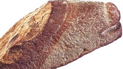 الصين تسترد تمثالين أثريين قبل بيعهما فى مزاد بفرنسا