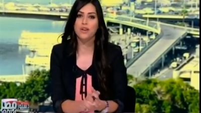 مرور القاهرة: الشبورة لا تعيق المصريين عن المشاركة في الاستفتاء