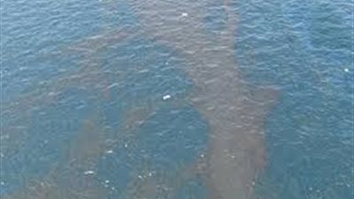 للمرة الثانية نهر النيل بأسيوط ملوث بالزيت.. «البيئة» تعلن عن خطتها لمواجهة البقعة.. إحالة صاحب ورشة ميكانيكية للتحقيق لتسببه في التلوث..«إدارة الأزمات»: فتح المحطة بعد تحليل الميا