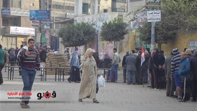 أساتذة سياسة في الجزائر: الاستفتاء سينجح... ومصر دولة عريقة